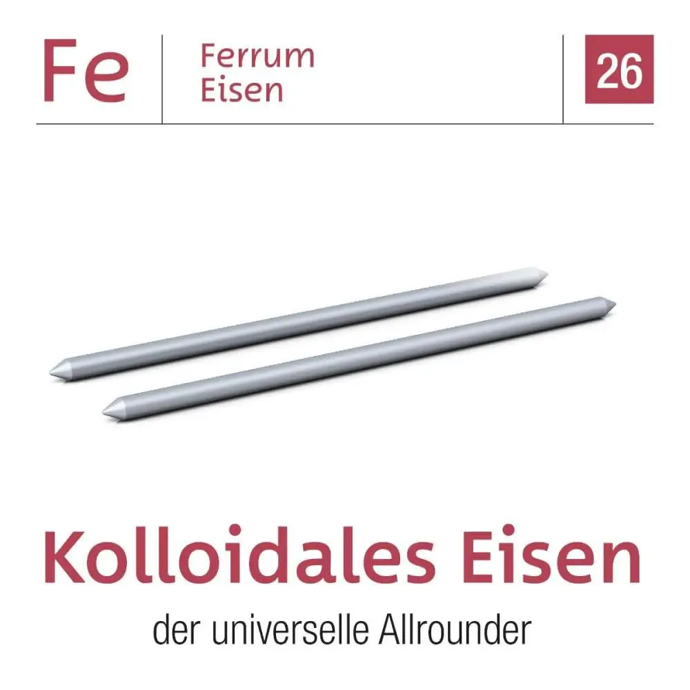 colloimed_eisen_elektroden_3x80mm_-_kolloidales_eisen_-_m11008_-_empfehlung.webp